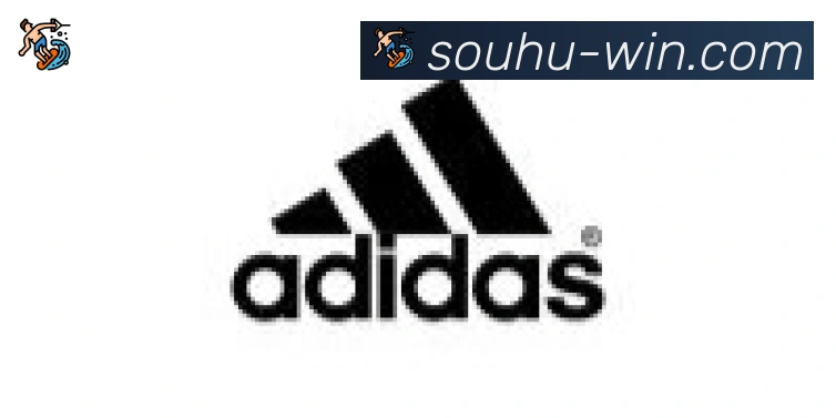 搜狐体育合作伙伴